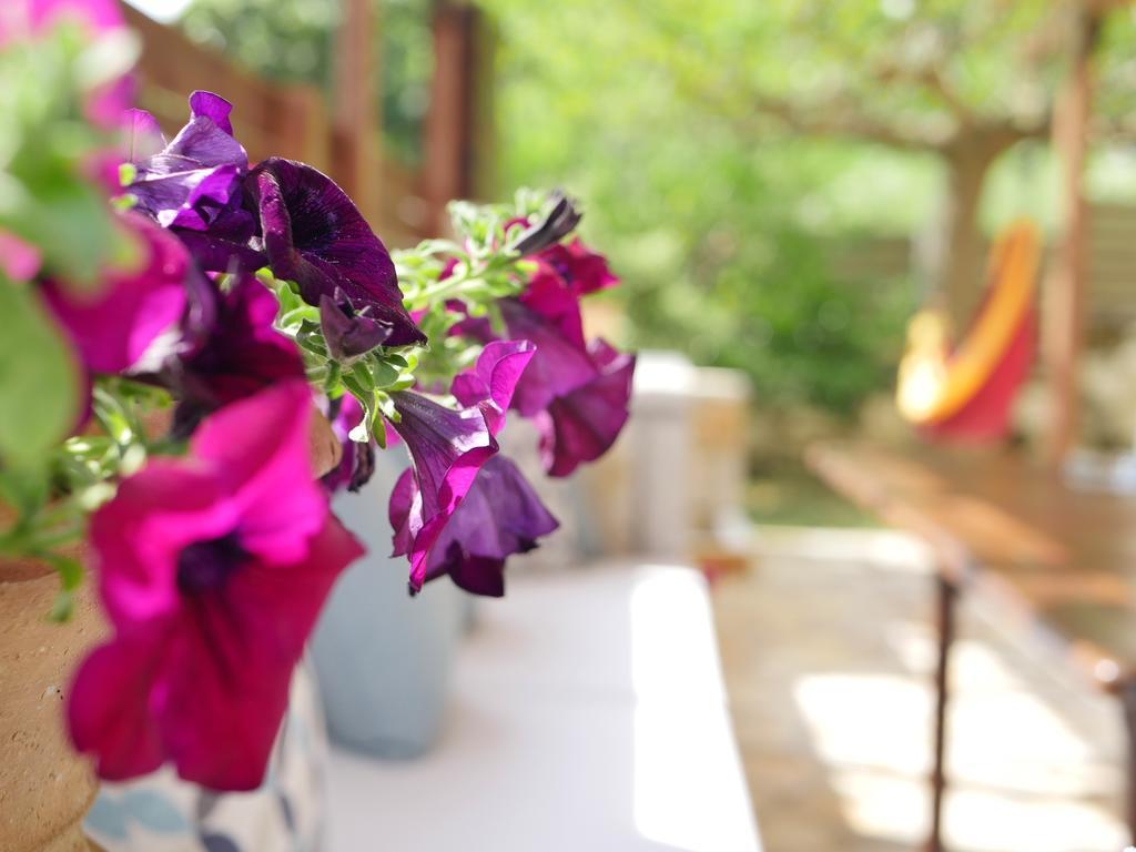 Villa Victoria Boutique Apartments Sívota Zewnętrze zdjęcie